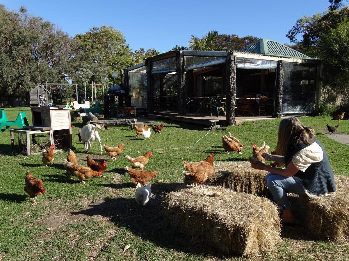 Ripples N Tonic Farmstay Ventnor Eksteriør billede