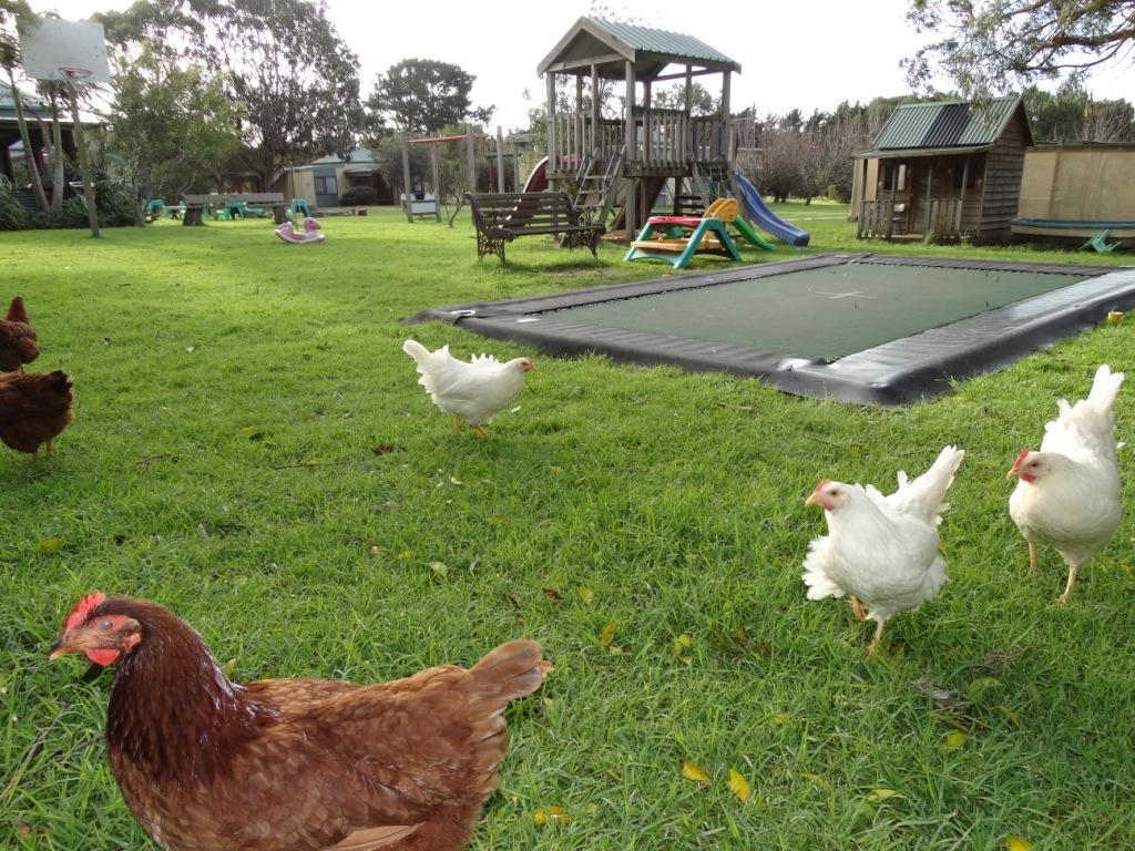 Ripples N Tonic Farmstay Ventnor Eksteriør billede